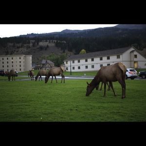 Meet your Posher, Xia